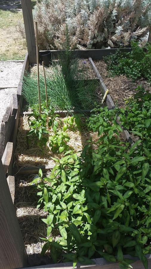 Yha Grampians Eco, הלס גאפ מראה חיצוני תמונה